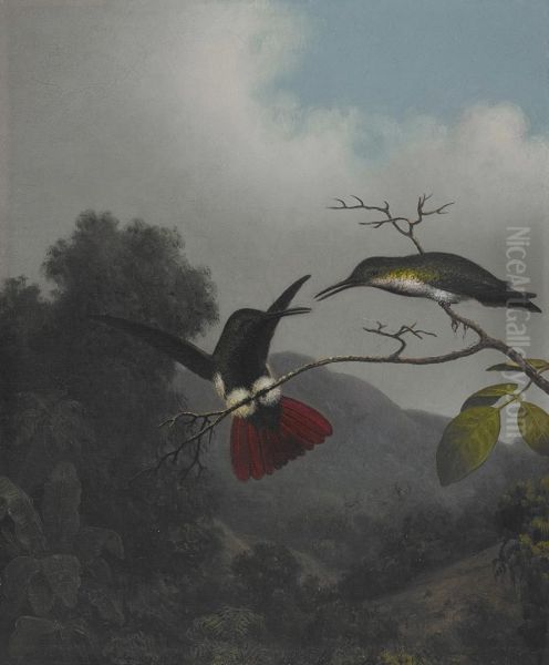 Black-throated Mango Oil Painting by Martin Johnson Heade