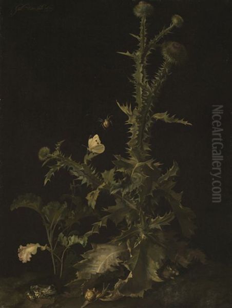 Still life with thistle, mouse, frog, snail and insects Oil Painting by Willem Van Aelst