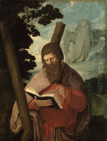 Saint Andrew Oil Painting by Lucas Van Leyden