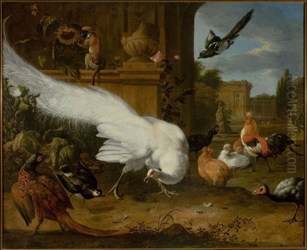 Fowls and a white peacock Oil Painting by Melchior D'Hondecoeter