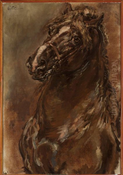 Study of horse's head for 