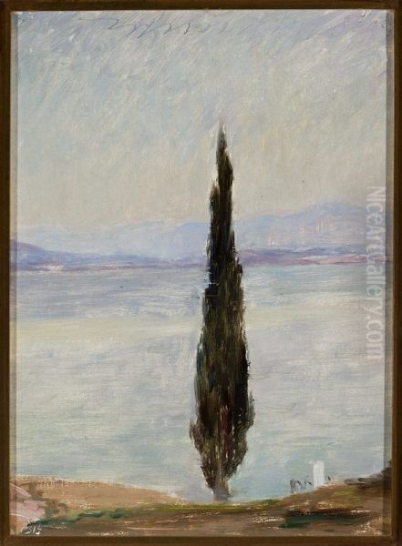 Cypress. From the journey to Constantinople Oil Painting by Jan Ciaglinski