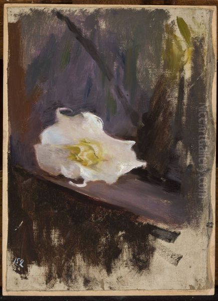 White flower, study Oil Painting by Jan Ciaglinski