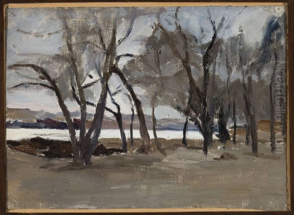 Winter landscape - park on the Petrovsky Island Oil Painting by Jan Ciaglinski