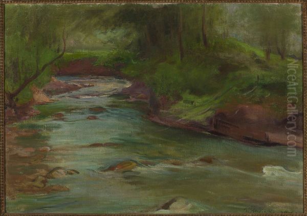 Mountain stream - in the Tatra Mountains below Mt Nosal Oil Painting by Wladyslaw Slewinski