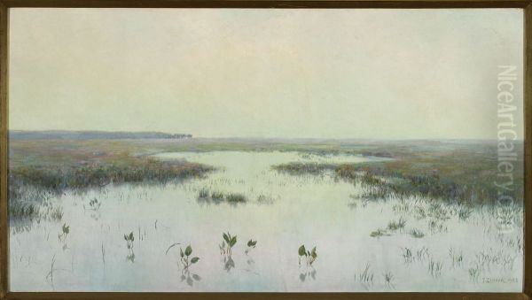 Dawn over water - Marshes Oil Painting by Teodor Ziomek