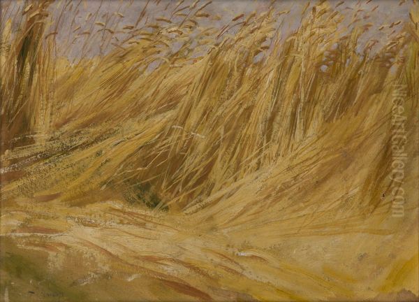 Corn Field (Study) Oil Painting by Wlodzimierz Tetmajer