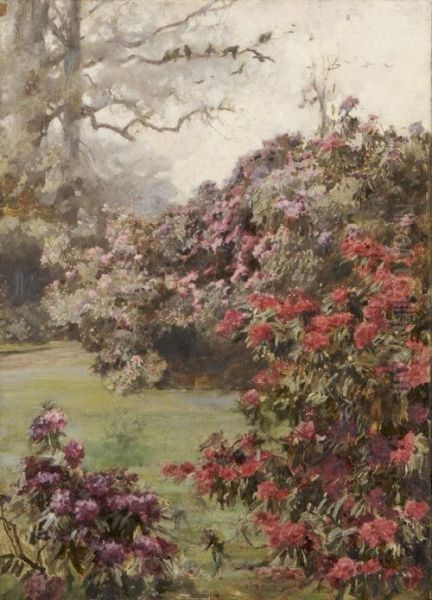 Rhododendrons At Kilmurry Oil Painting by Mildred Anne Butler