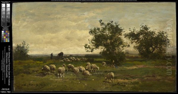 Landscape with Sheep Oil Painting by Charles Jacque