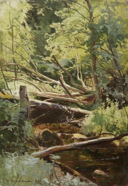 Stream in the forest Oil Painting by Ivan Shishkin