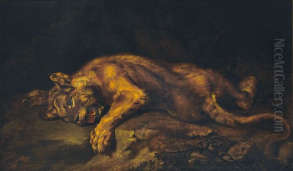 Lionne couchee Oil Painting by unknown