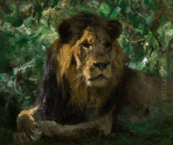 Resting Lion Oil Painting by unknown