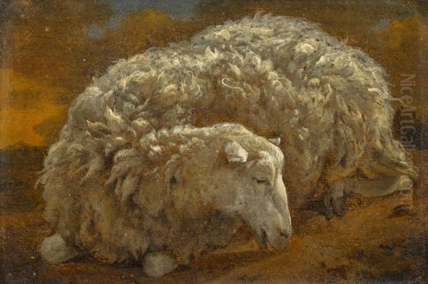 Study of a sheep Oil Painting by unknown