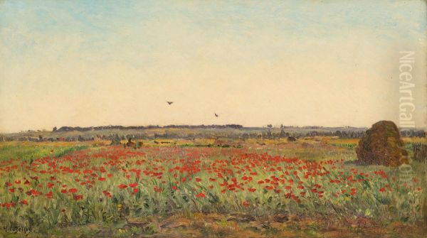 Le champ de coquelicot Oil Painting by unknown