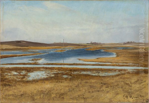 A flooded meadow. Hills in the background. Sunshine. Oil Painting by Laurits Andersen Ring