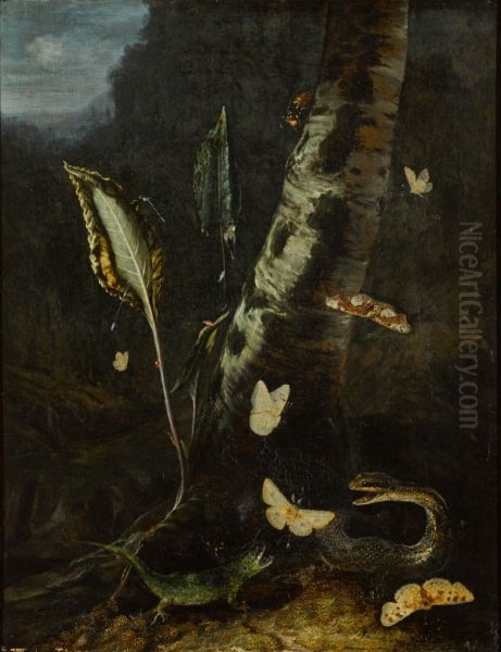 FOREST FLOOR STILL LIFE, WITH A LIZARD, A SNAKE AND BUTTERFLIES Oil Painting by Otto Marseus van Schrieck