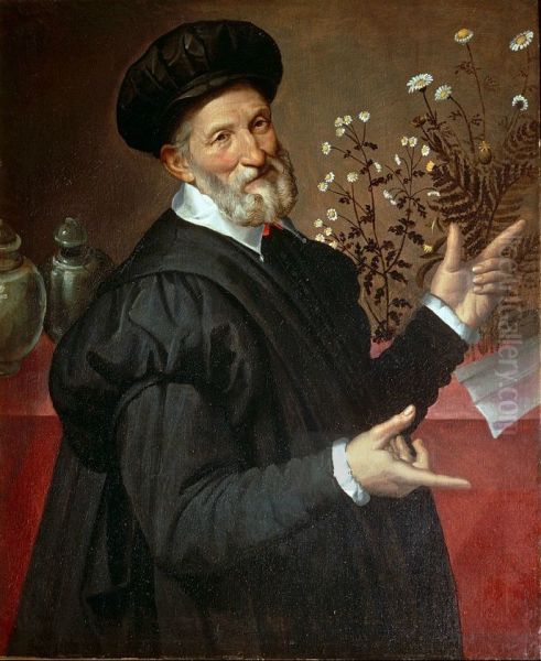 portrait of Botanist Oil Painting by Bartolomeo Passarotti