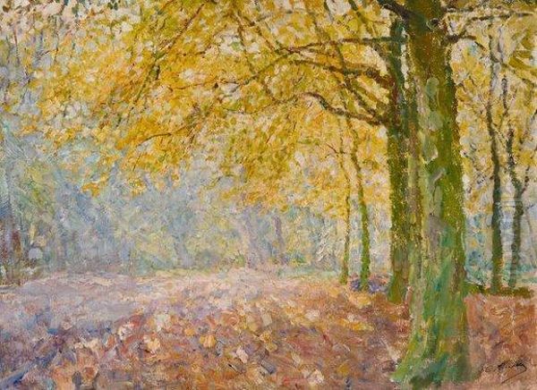 Sous-bois Ensoleille Oil Painting by Georges Buysse