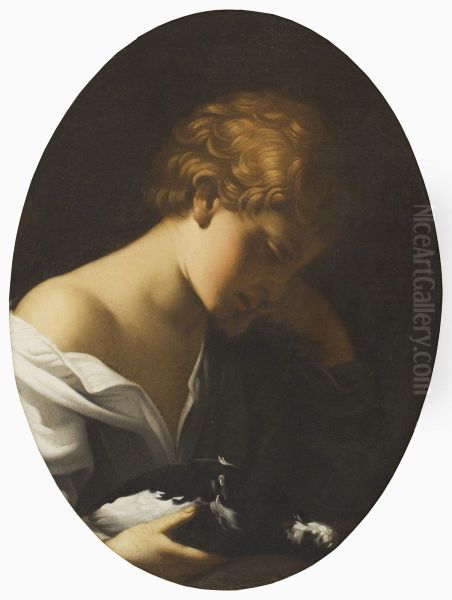 Child Holding a Dove Oil Painting by Guido Reni