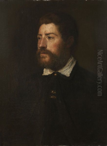 Portrait of a Man Oil Painting by Giulio Campi