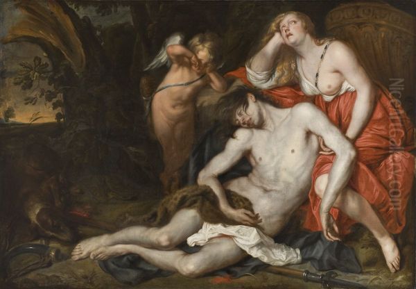 Venus Bewailing the Death of Adonis Oil Painting by Thomas Willeboirts Bosschaert