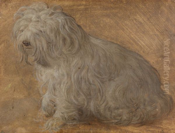 Maltese Dog Oil Painting by Titian