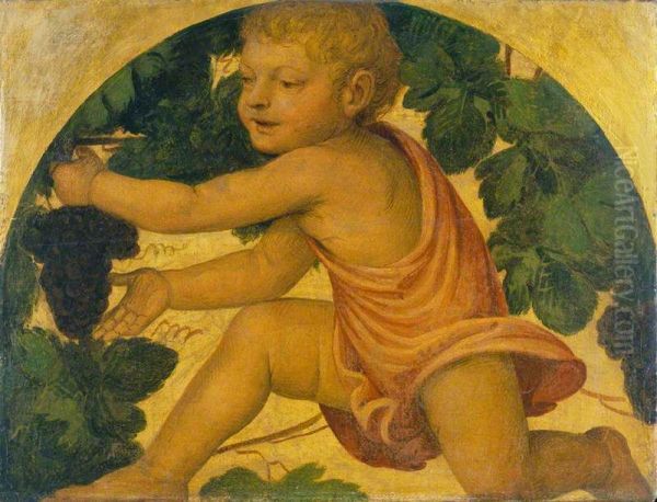 Putto Picking Grapes Oil Painting by Bernardino Luini