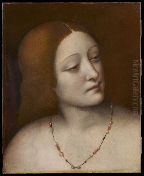 Tete de femme Oil Painting by Giampietrino