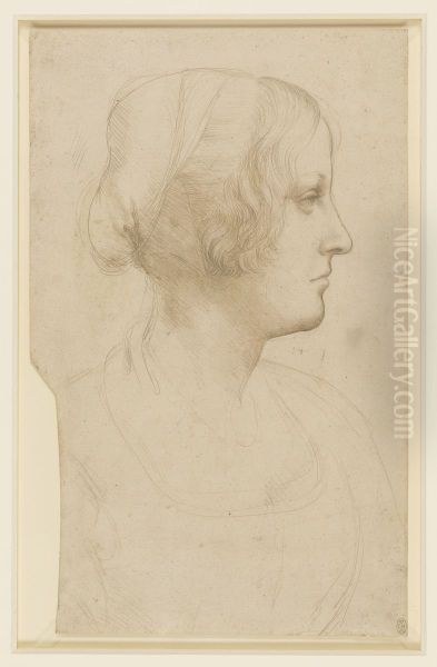 Study of a Young Woman in Profile Oil Painting by Leonardo Da Vinci