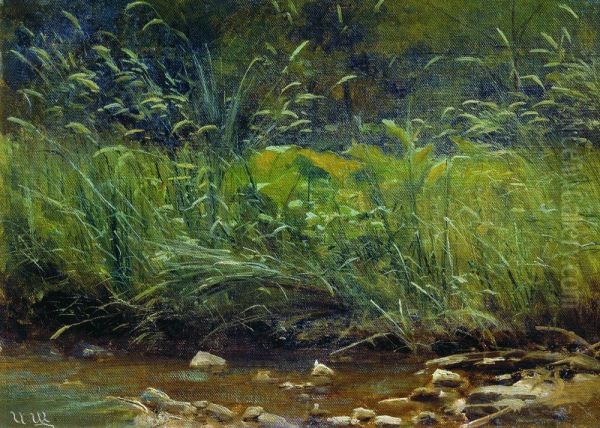 Pond shore Oil Painting by Ivan Shishkin