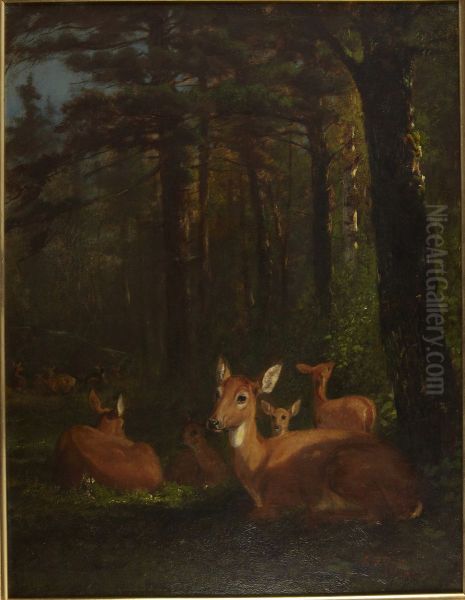 Deer in Forest Oil Painting by Arthur Fitzwilliam Tait