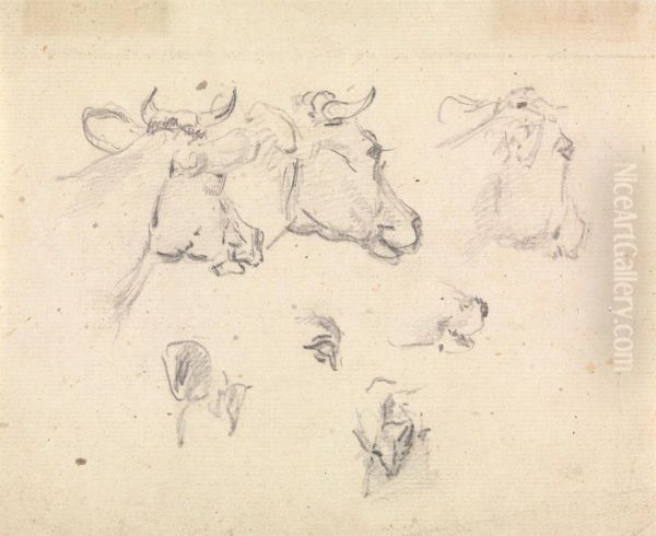 Studies of a cow's head Oil Painting by Sawrey Gilpin