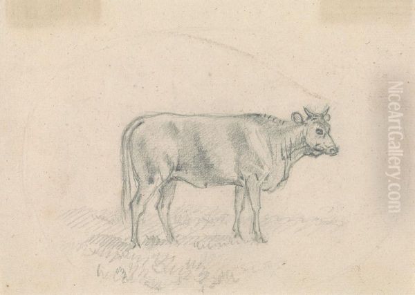 Sketch of a Cow Oil Painting by Sawrey Gilpin