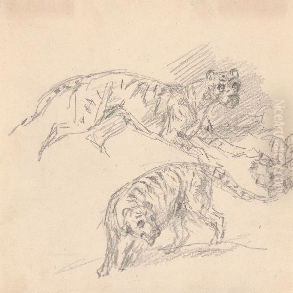 Studies of a tiger Oil Painting by Sawrey Gilpin