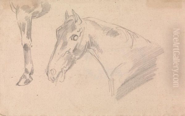 Study of head and neck of a horse Oil Painting by Sawrey Gilpin