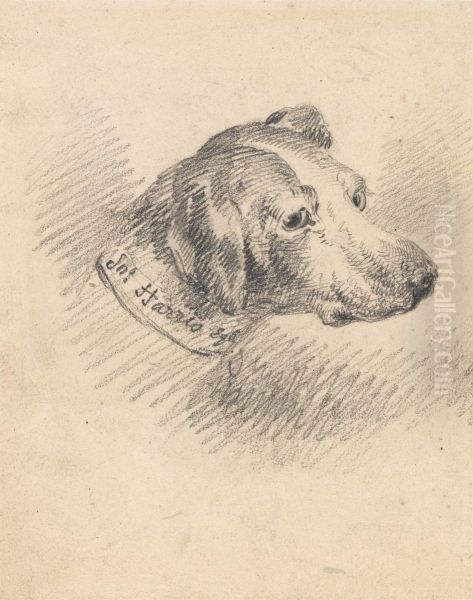 Head of a Hound Oil Painting by George Morland