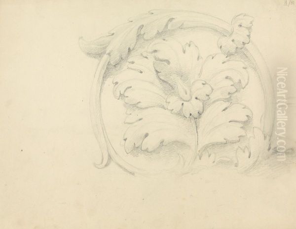 Detailed Sketch of the Stone Relief of a Flower Oil Painting by Robert Smirke