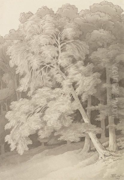 Trees in a Wood Oil Painting by John White Abbott