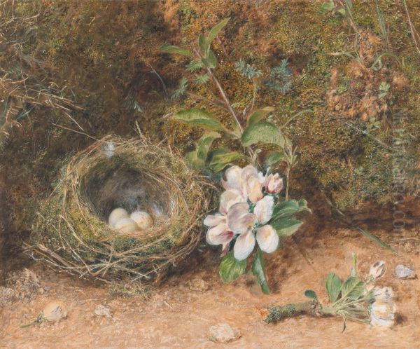 Bird's Nest with Sprays of Apple Blossoms Oil Painting by William Henry Hunt