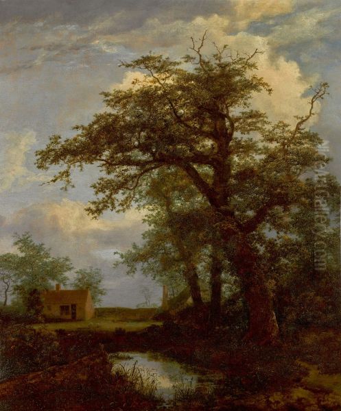 A wooded landscape with an oak tree, pond and houses beyond Oil Painting by Jacob Van Ruisdael