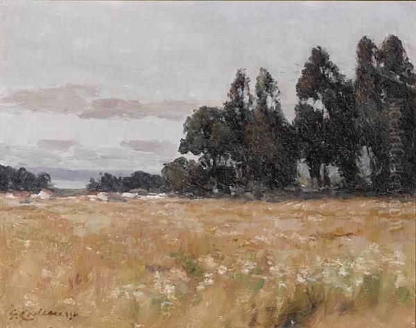 Meadow With Trees Beyond Oil Painting by Giuseppe Cadenasso