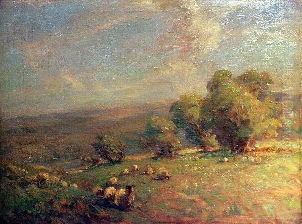 Sheep In Pasture Oil Painting by James Cadenhead