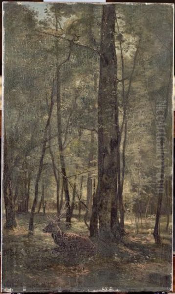 Fontainebleau : cerf au repos sous une futaie Oil Painting by Eugene Lavieille