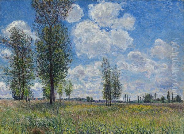 Wiesen von Veneux-Nadon Oil Painting by Alfred Sisley