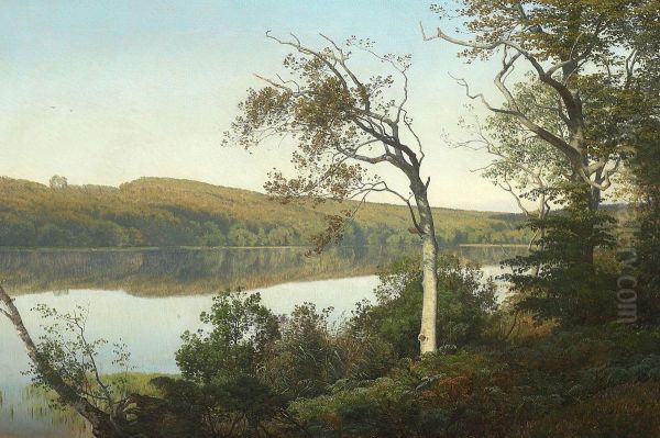 Viwe of a lake near Silkeborg. Oil Painting by Janus la Cour