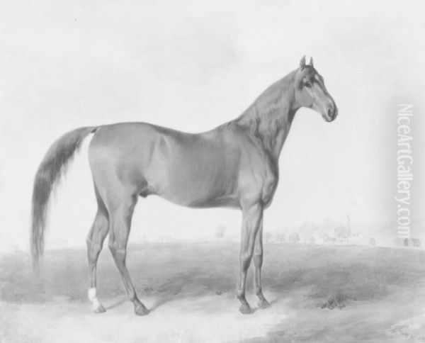 Race Horse 