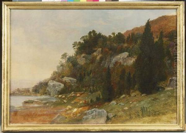 Study from Nature, Peekskill, N.Y. Oil Painting by Asher Brown Durand