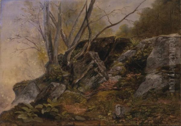 Study from Nature, Bronxville, New York Oil Painting by Asher Brown Durand