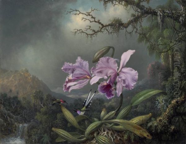 Study of an Orchid Oil Painting by Martin Johnson Heade