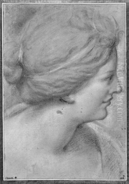 Head of a woman, profile right Oil Painting by Domenico Maria Canuti